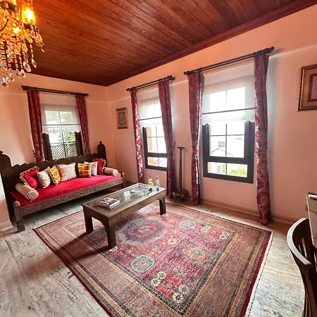 Отель Ephesus 2*